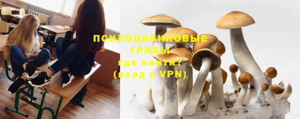 PSILOCYBIN Белокуриха